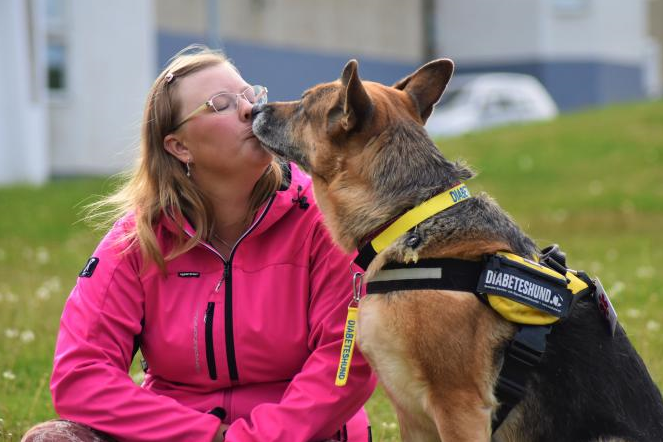 Diabeteshunden