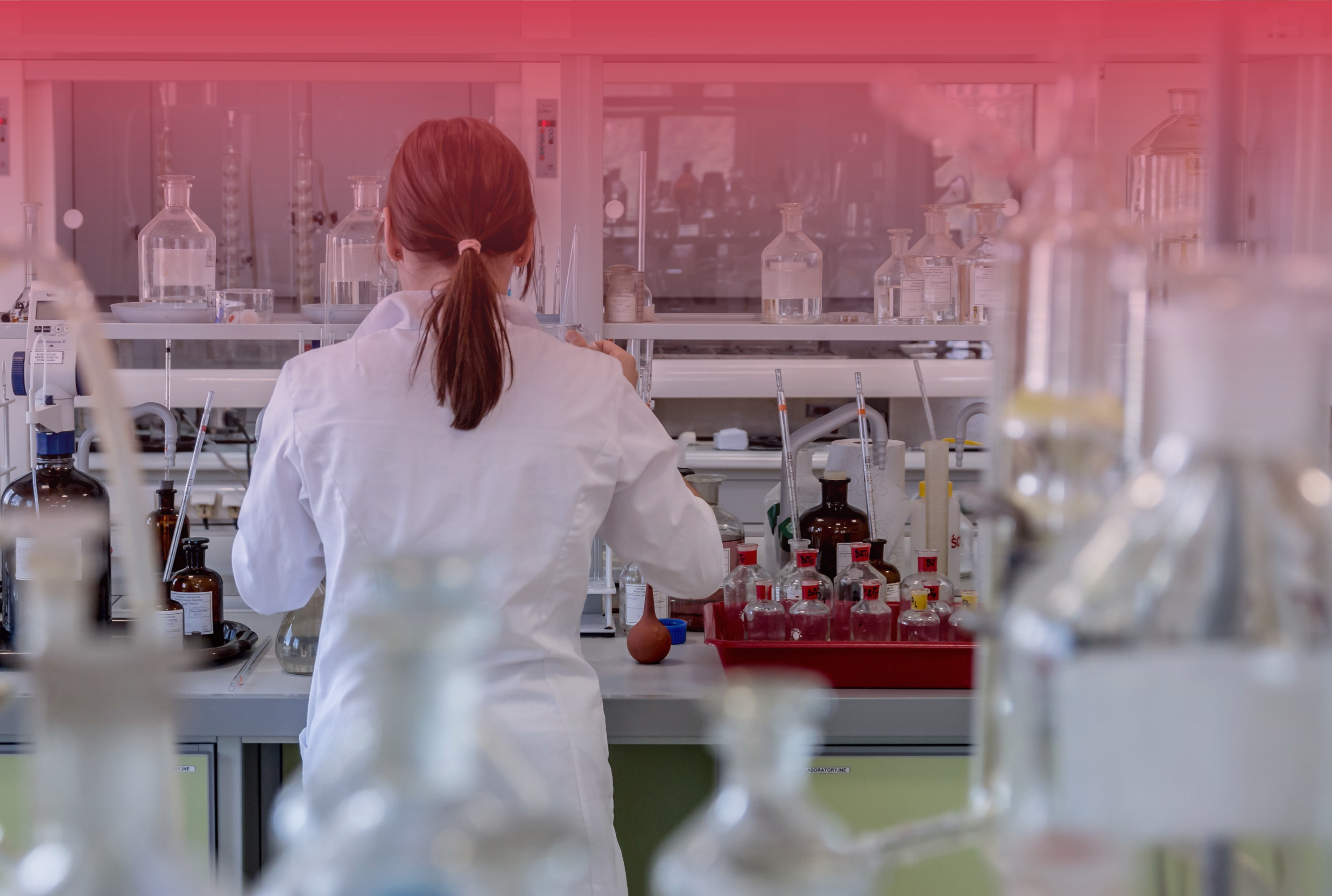 A researcher working in a laboratory 