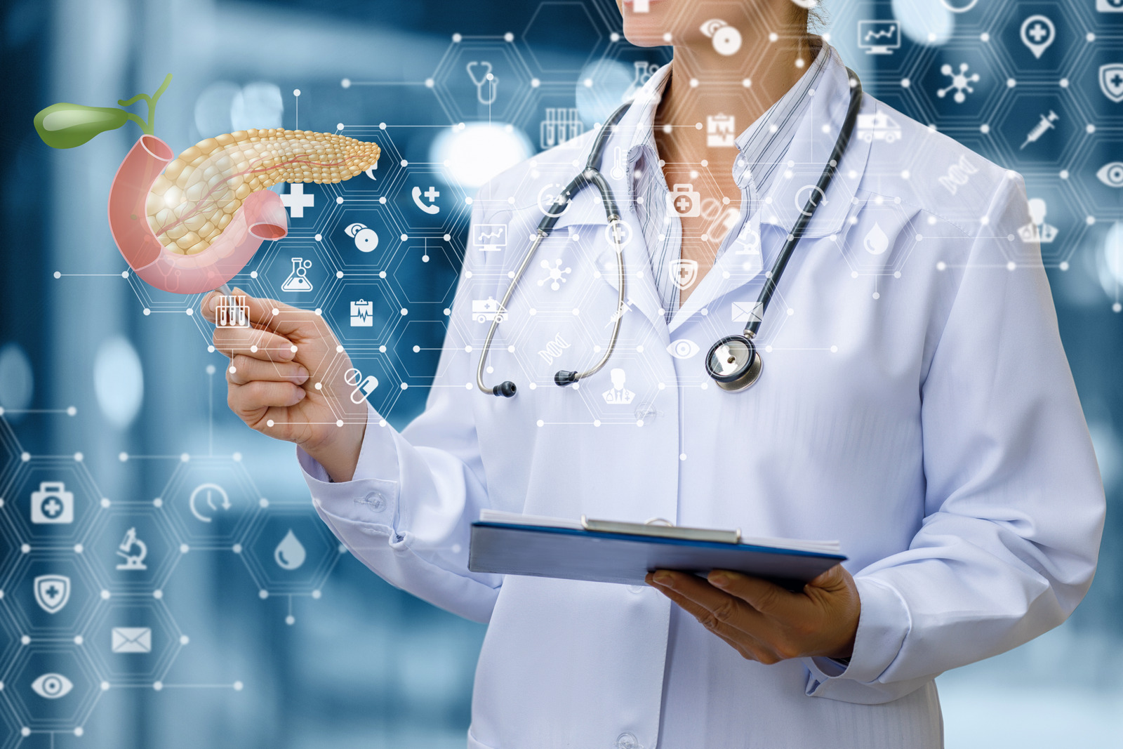 A graphic of a pancreas and a researcher.