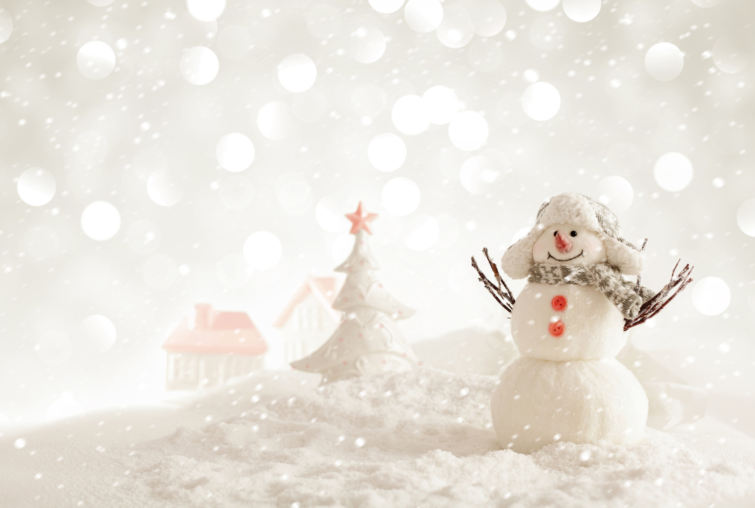 Snowman Big Give Flip